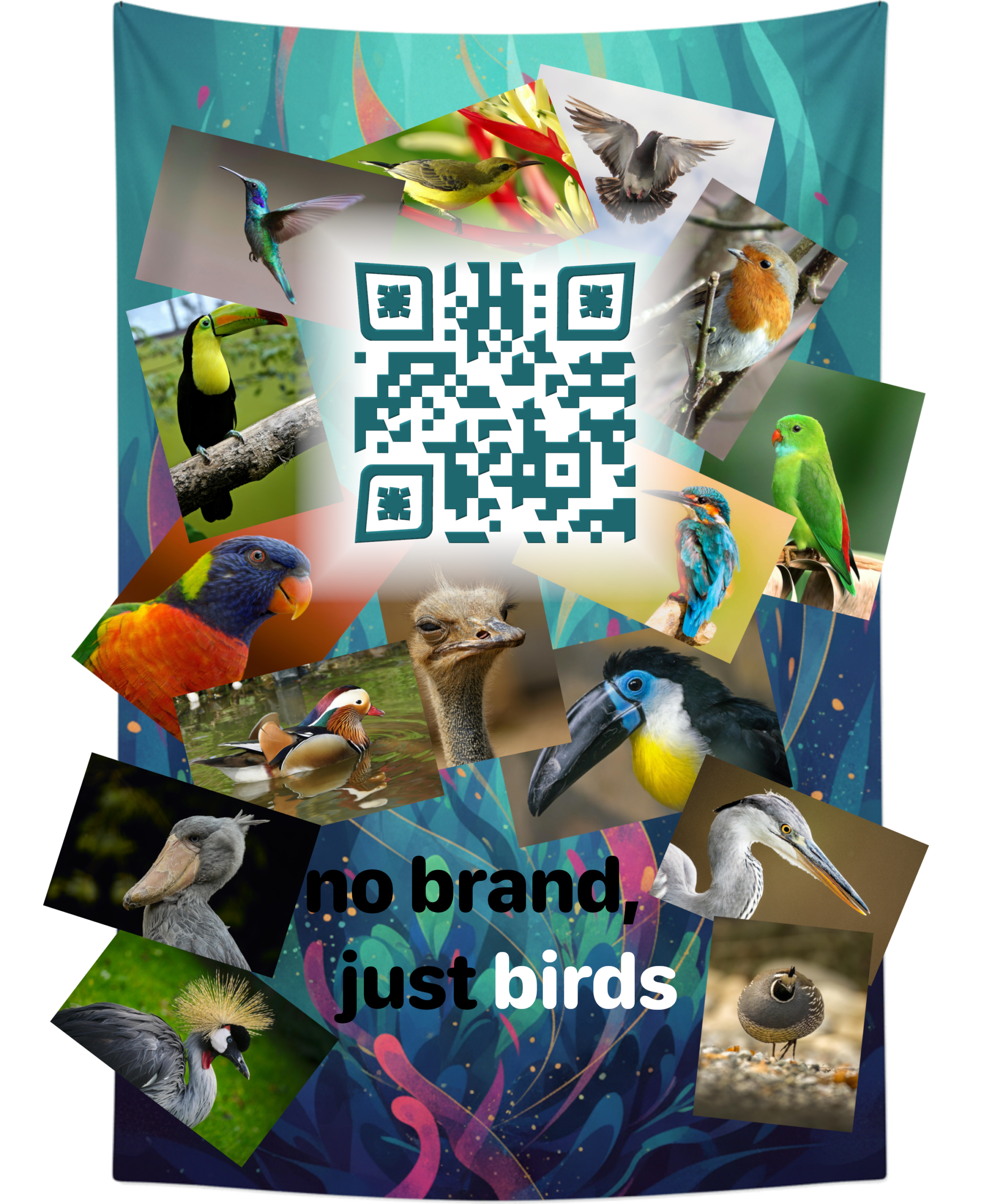 Birds